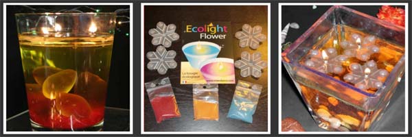 Exposant - Tonus Vital' Vie